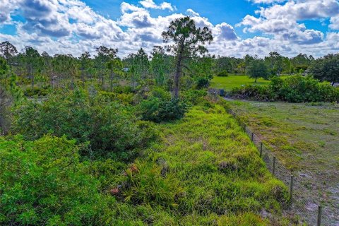 Terrain à vendre à Punta Gorda, Floride № 2213967 - photo 3