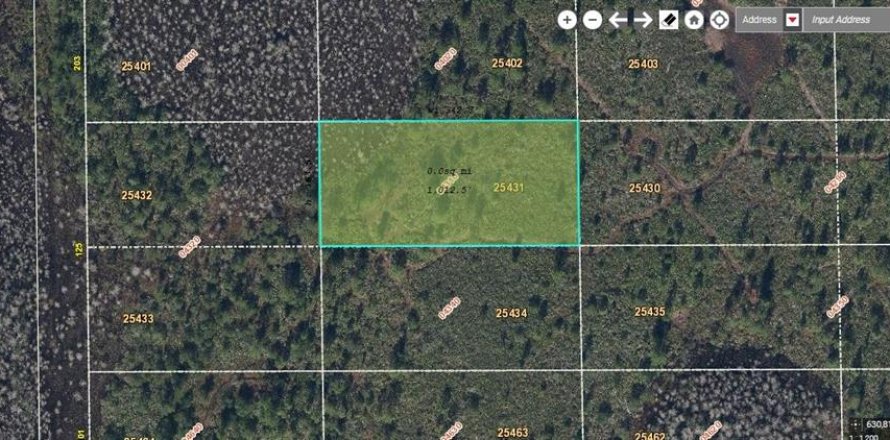 Land in Orlando, Florida № 2219130