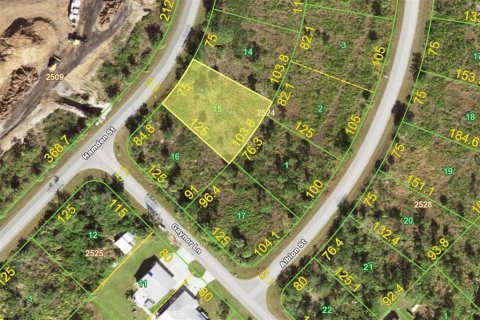 Land in Port Charlotte, Florida № 2158981