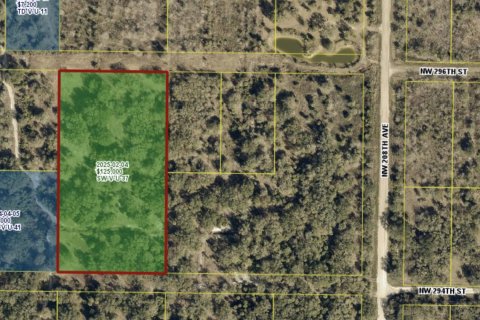 Commercial property in Okeechobee, Florida № 2078357
