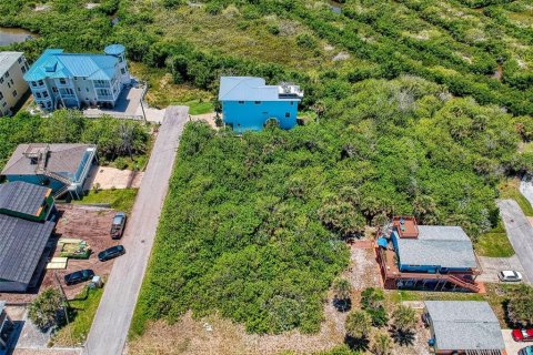 Land in New Smyrna Beach, Florida № 1211680 - photo 29