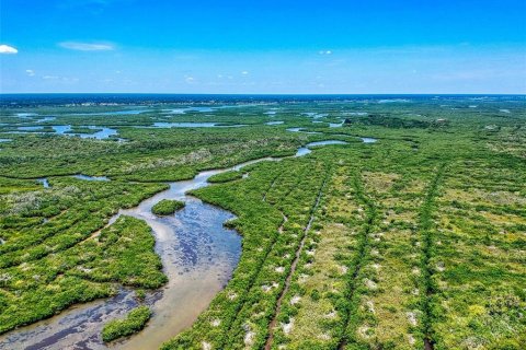 Land in New Smyrna Beach, Florida № 1211680 - photo 15