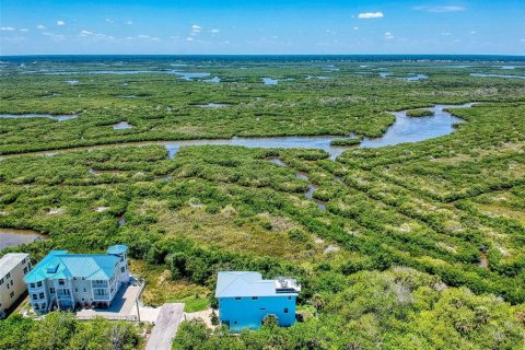 Land in New Smyrna Beach, Florida № 1211680 - photo 8
