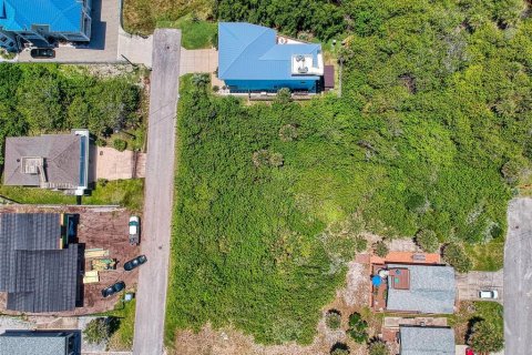 Land in New Smyrna Beach, Florida № 1211680 - photo 10