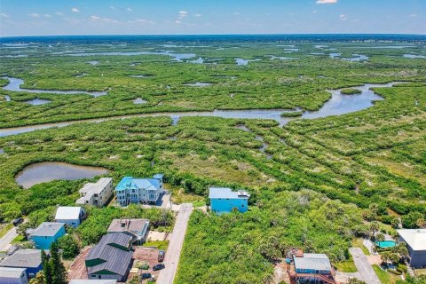 Land in New Smyrna Beach, Florida № 1211680 - photo 5