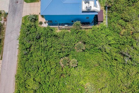 Land in New Smyrna Beach, Florida № 1211680 - photo 12