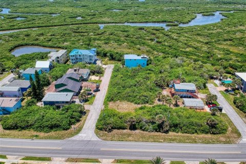 Land in New Smyrna Beach, Florida № 1211680 - photo 3