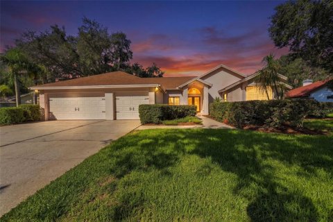 House in Tampa, Florida 4 bedrooms, 245.17 sq.m. № 2302811
