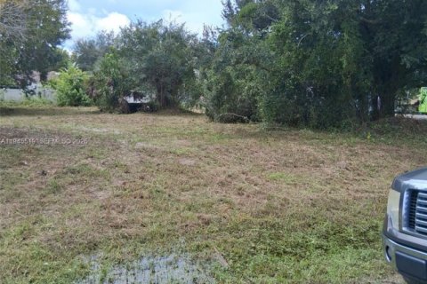 Land in Fort Myers, Florida № 2001684 - photo 2