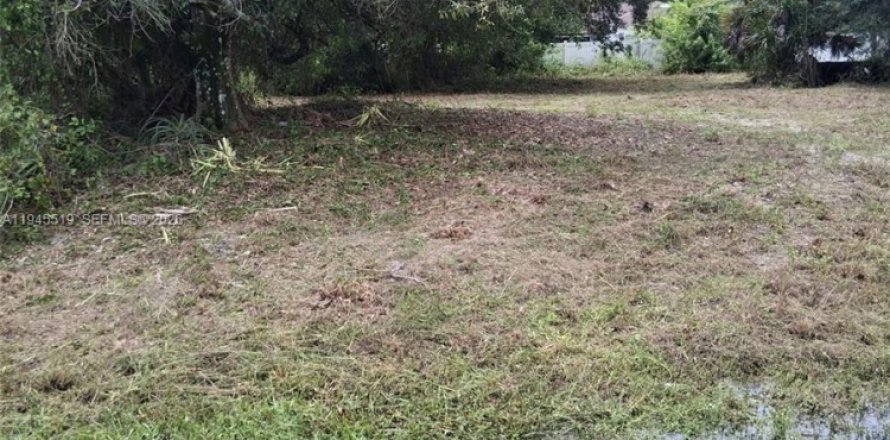 Land in Fort Myers, Florida № 2001684