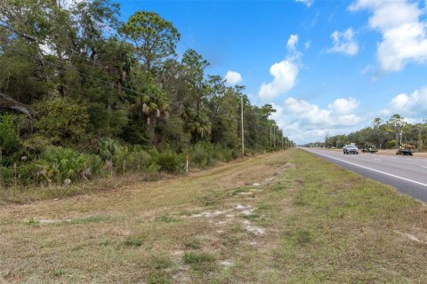Land in Crystal River, Florida № 2119504 - photo 23