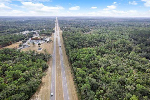 Land in Crystal River, Florida № 2119504 - photo 14