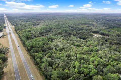 Land in Crystal River, Florida № 2119504 - photo 12