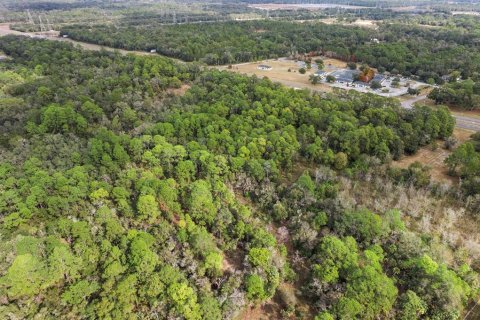 Land in Crystal River, Florida № 2119504 - photo 17