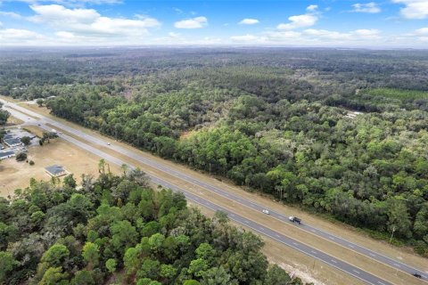 Land in Crystal River, Florida № 2119504 - photo 11