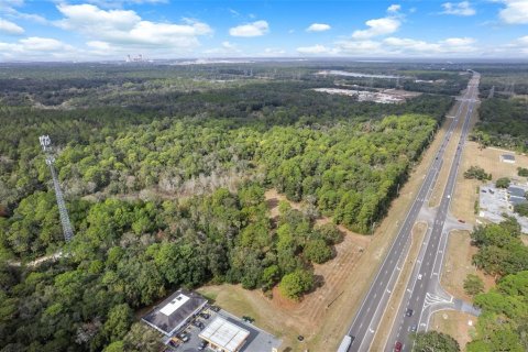 Land in Crystal River, Florida № 2119504 - photo 8