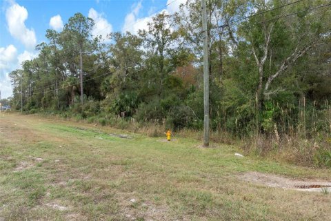 Land in Crystal River, Florida № 2119504 - photo 26