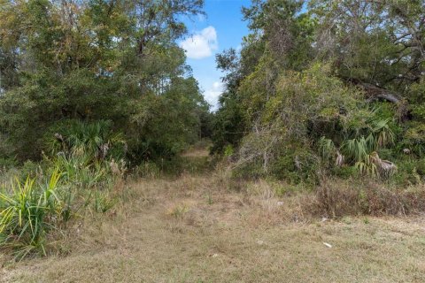 Land in Crystal River, Florida № 2119504 - photo 24