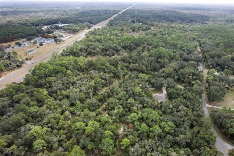 Land in Crystal River, Florida № 2119504 - photo 19