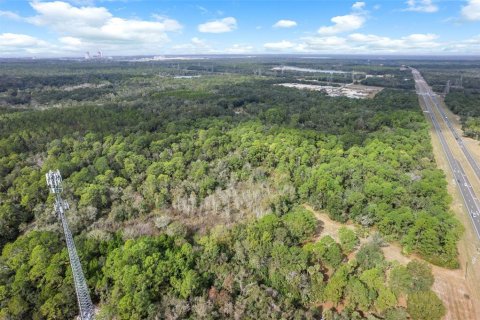 Land in Crystal River, Florida № 2119504 - photo 9