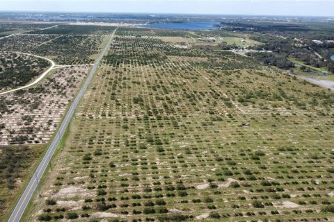 Land in Avon Park, Florida № 2098491 - photo 5