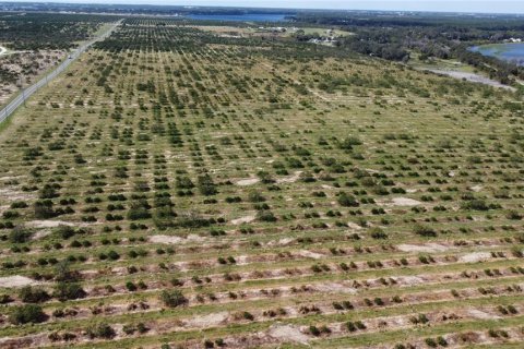 Terrain à Avon Park, Floride № 2098491