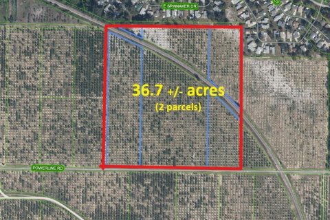 Land in Avon Park, Florida № 2098491 - photo 2