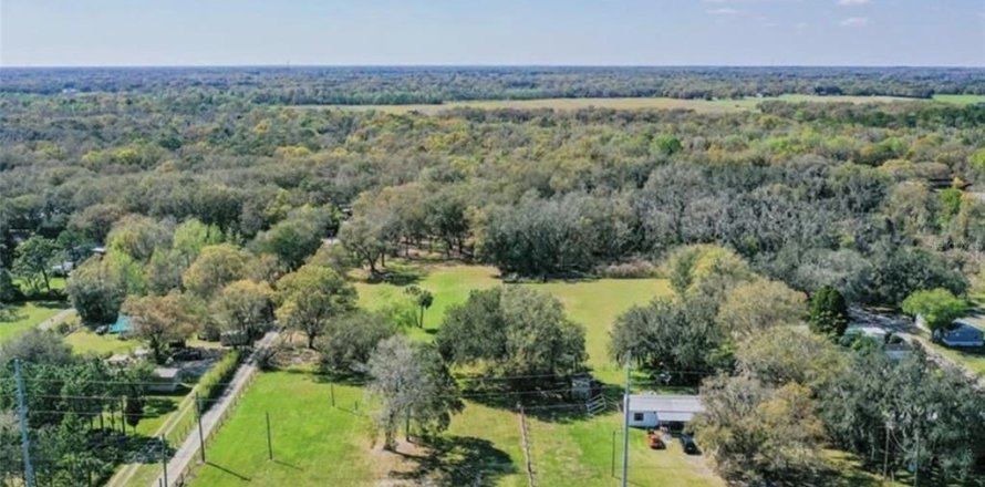 Land in Plant City, Florida № 2391373