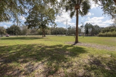 Land in Plant City, Florida № 2391373 - photo 7