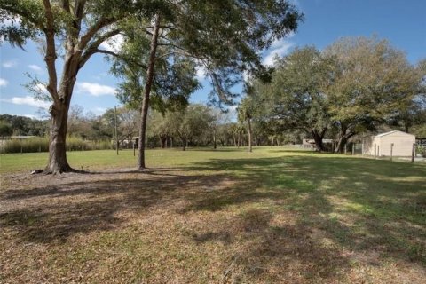 Land in Plant City, Florida № 2391373 - photo 10