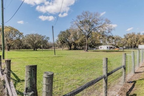 Land in Plant City, Florida № 2391373 - photo 4