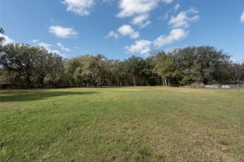 Land in Plant City, Florida № 2391373 - photo 12