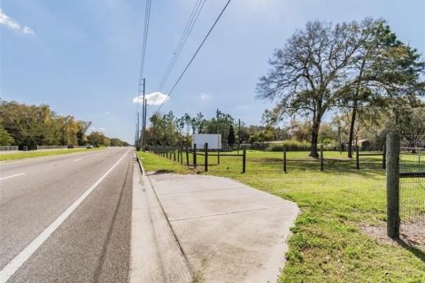 Land in Plant City, Florida № 2391373 - photo 19