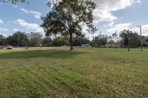 Land in Plant City, Florida № 2391373 - photo 11