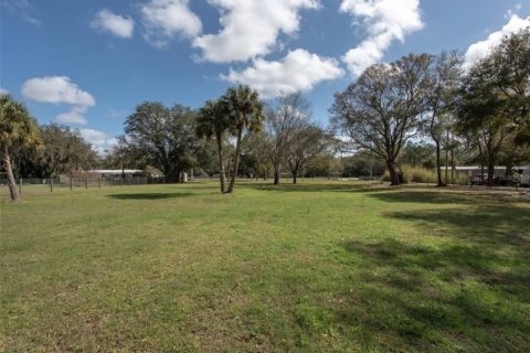 Land in Plant City, Florida № 2391373 - photo 6
