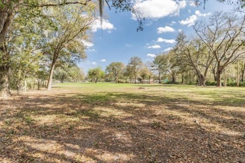 Land in Plant City, Florida № 2391373 - photo 21