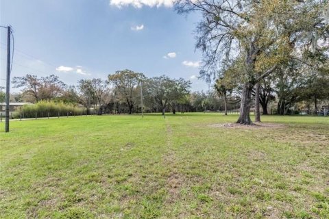 Land in Plant City, Florida № 2391373 - photo 20
