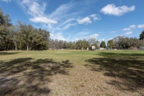 Land in Plant City, Florida № 2391373 - photo 13