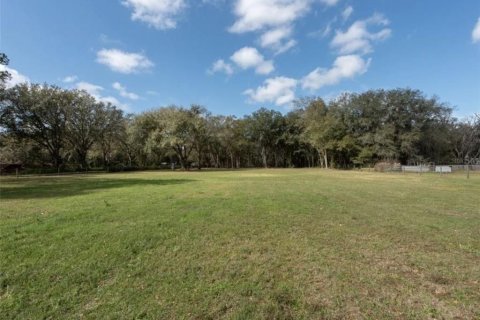 Land in Plant City, Florida № 2391373 - photo 18