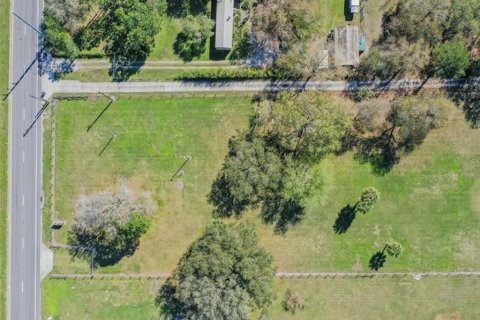 Land in Plant City, Florida № 2391373 - photo 2