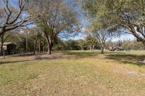 Land in Plant City, Florida № 2391373 - photo 16