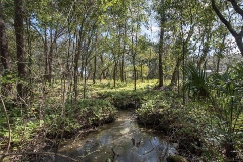 Land in Plant City, Florida № 2391373 - photo 8