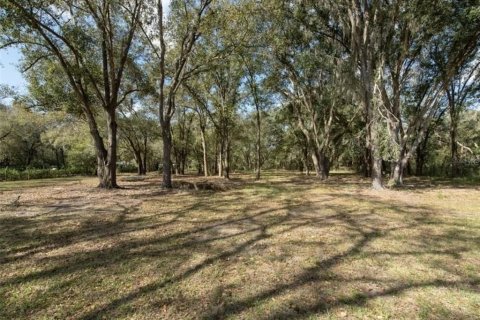 Land in Plant City, Florida № 2391373 - photo 9