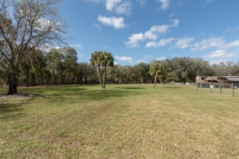 Land in Plant City, Florida № 2391373 - photo 15