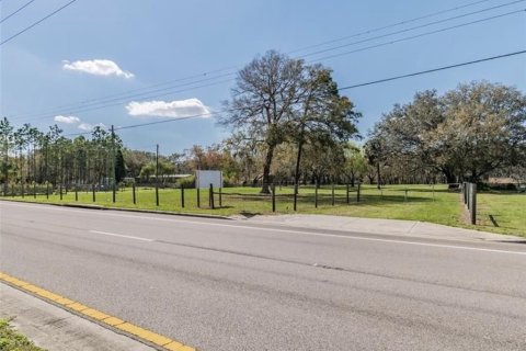 Land in Plant City, Florida № 2391373 - photo 3
