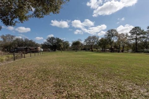 Land in Plant City, Florida № 2391373 - photo 14