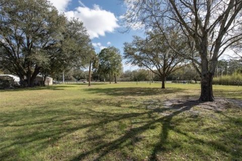 Land in Plant City, Florida № 2391373 - photo 5
