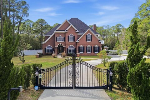 House in DeBary, Florida 5 bedrooms, 323.49 sq.m. № 2119018