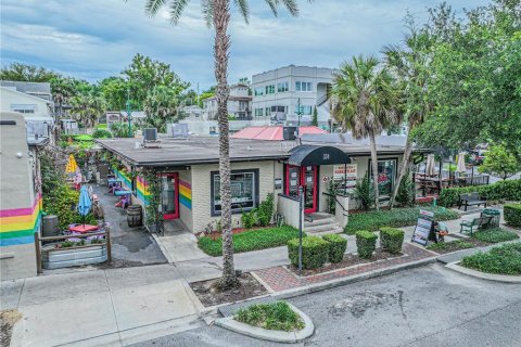 Immobilier commercial à Mount Dora, Floride 500.65 m2 № 2406252