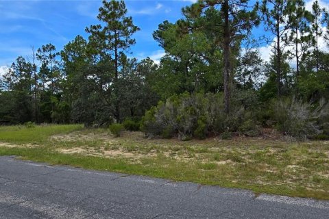 Land in Citrus Springs, Florida № 2162072 - photo 2